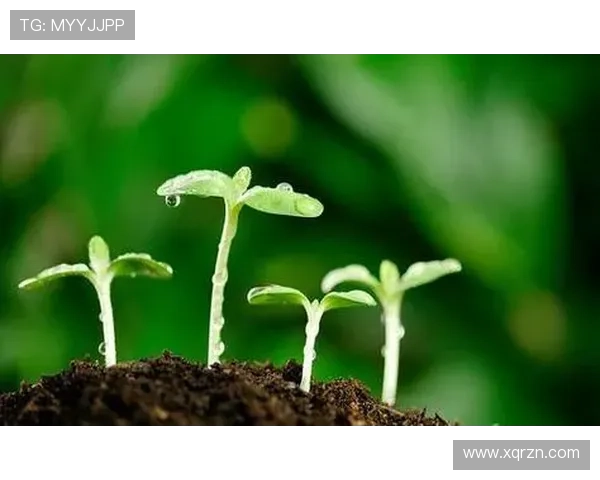 庄家院里的年轻人：梦想的种子，在时光里悄然发芽